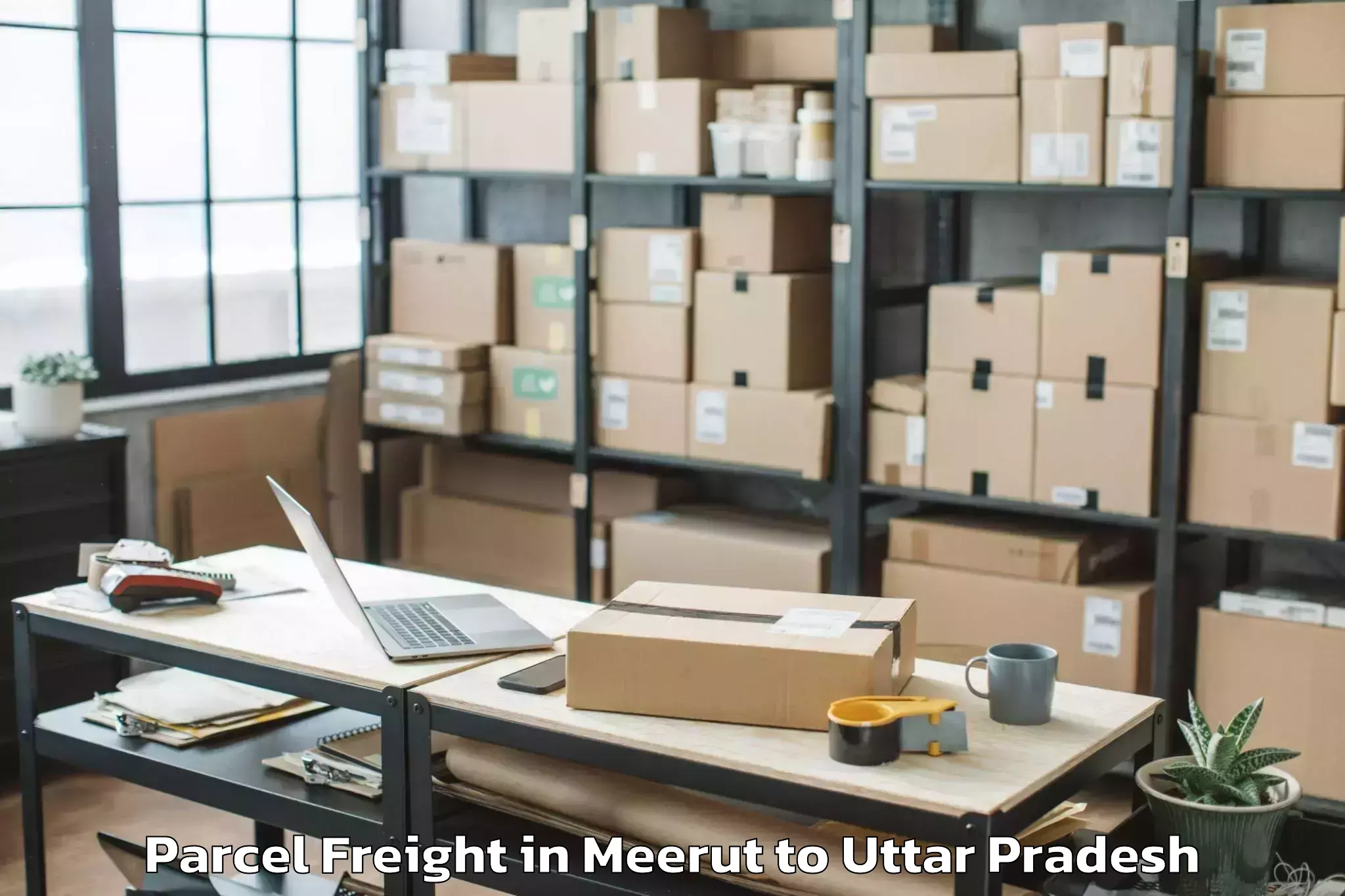 Meerut to Babrala Parcel Freight